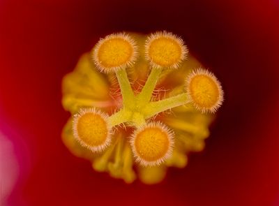 2025-05-20-14.49.18 ZS PMax_openWith.jpg