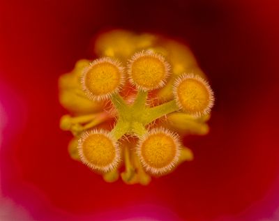 2025-05-20-10.20.55 ZS PMax_openWith.jpg
