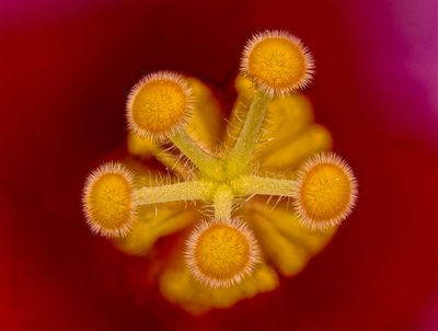 2025-05-20-15.30.46 ZS PMax_openWith.jpg