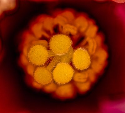 2025-05-21-12.03.54 ZS PMax_openWith.jpg