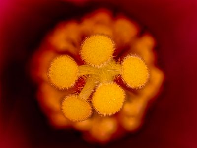 2025-05-21-14.23.24 ZS PMax_openWith.jpg