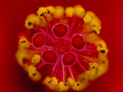 2025-05-31-16.56.52 ZS PMax_openWith.jpg
