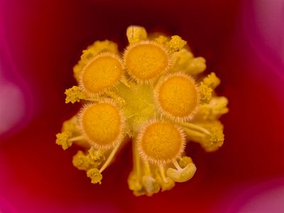 2025-06-04-12.17.04 ZS PMax_openWith.jpg