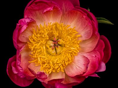 2025-06-04-15.29.09 ZS PMax_openWith.jpg