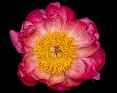 2025-06-04-16.16.08 ZS PMax_openWith.jpg