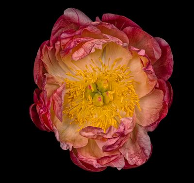 2025-06-05-20.46.38 ZS PMax_openWith.jpg