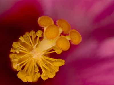 2025-06-06-17.23.59 ZS PMax_openWith.jpg