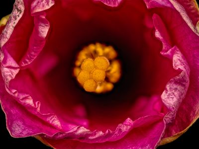 2025-06-07-09.17.36 ZS PMax_65_openWith.jpg