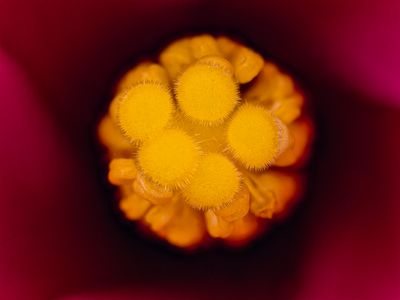 2025-06-11-14.33.47 ZS PMax_openWith.jpg