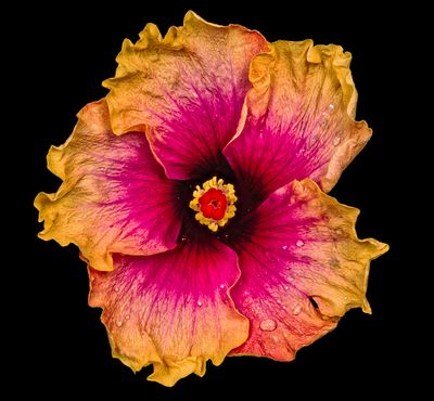 2025-06-22-11.23.56 ZS PMax_openWith.jpg