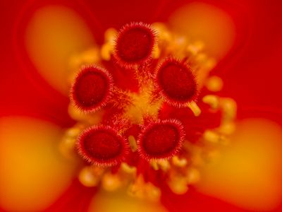 2025-06-25-12.28.39 ZS PMax_openWith.jpg