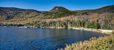White Mountains 2025