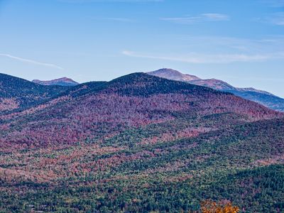 White Mountains 2025