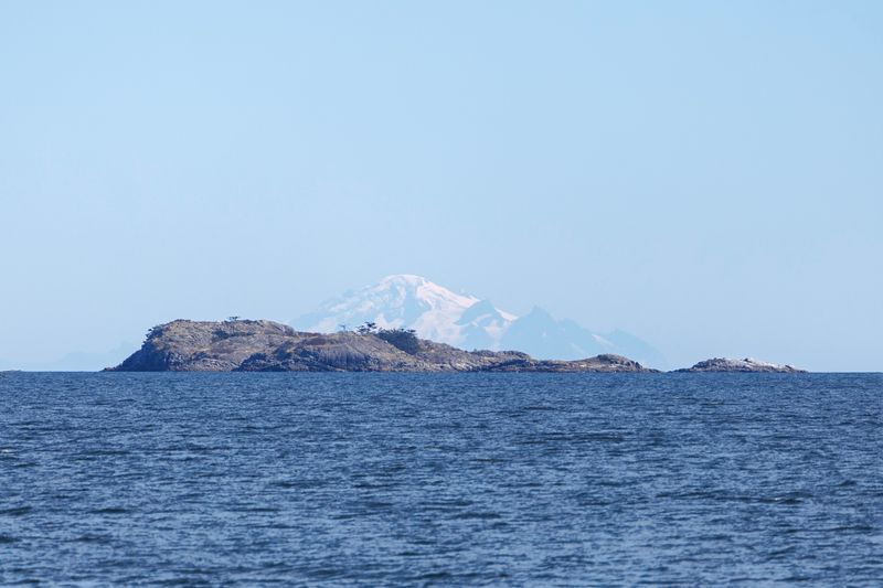 Mount Baker in distance 