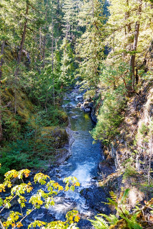 Little Qualicum river