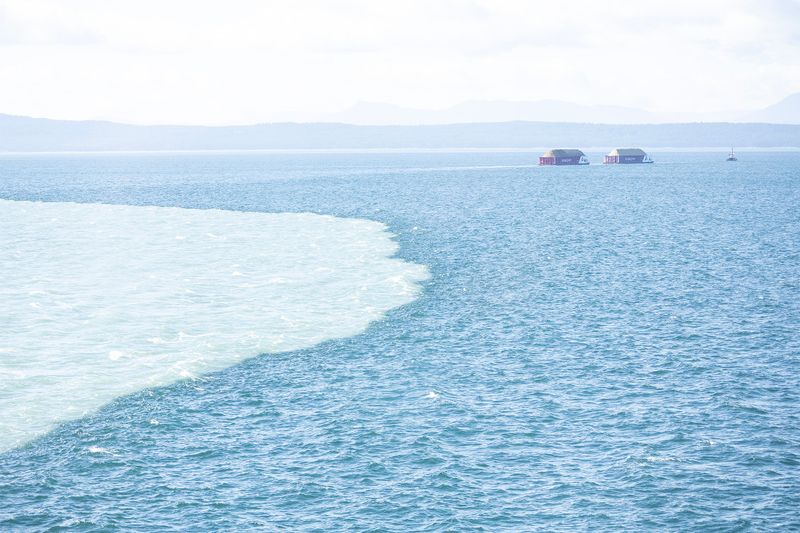 The Fraser plume