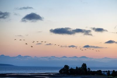 Parksville 2024
