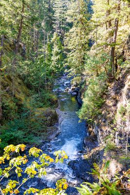 Little Qualicum river