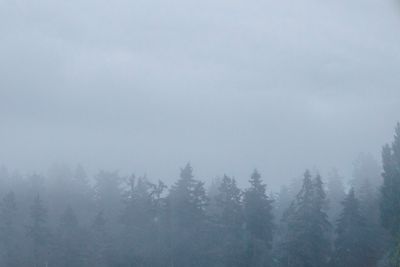 A foggy day
