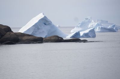 Icebergs were plentiful in the fjord leading to Nanortalik, Greenland