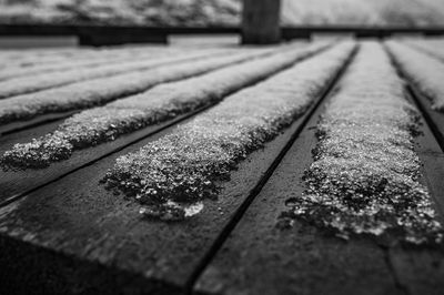 _DSC0533.jpg