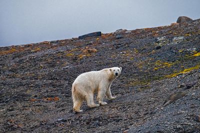 _DSC7519.jpg