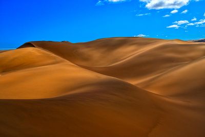 _DSC1133.jpg