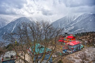 _DSC2921.jpg
