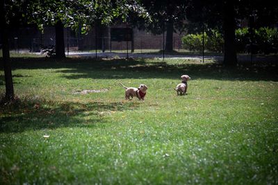 IMG_7974.jpg