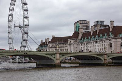 IMG_8081.jpg