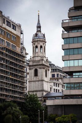 IMG_8124.jpg