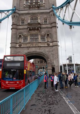 IMG_8181.jpg