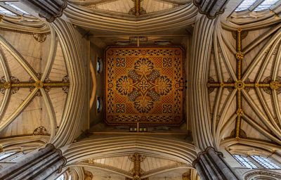 IMG_8282-Enhanced-NR.jpg