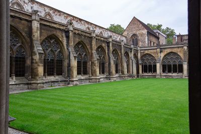 IMG_8317.jpg