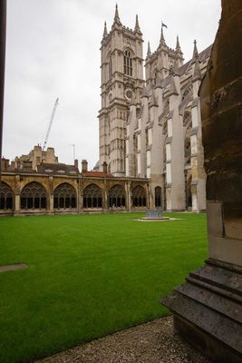 IMG_8318.jpg