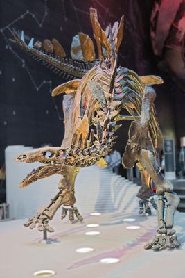 IMG_8365.jpg