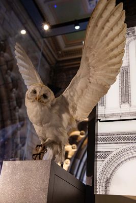 IMG_8412.jpg