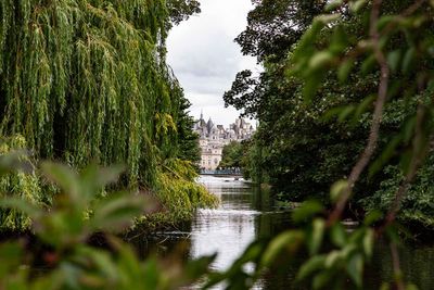 IMG_8495.jpg