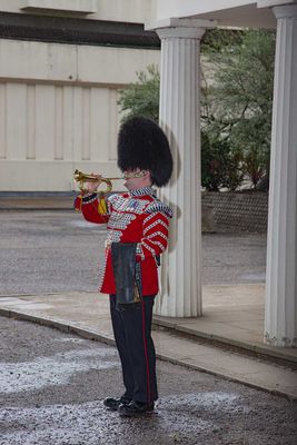 IMG_8510.jpg