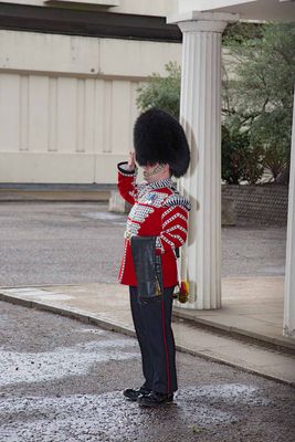 IMG_8511.jpg