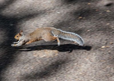 IMG_8536.jpg
