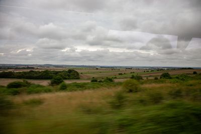 IMG_8583.jpg
