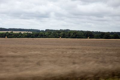 IMG_8586.jpg