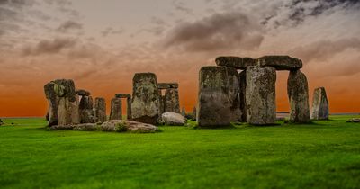 IMG_8594aa.jpg