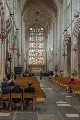 IMG_8666.jpg