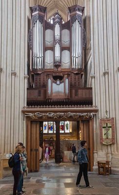 IMG_8687.jpg