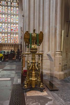 IMG_8695.jpg