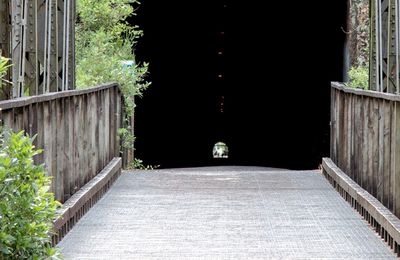 Crop of Tunnel.jpg