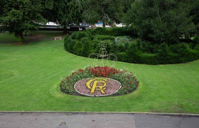 IMG_8724.jpg
