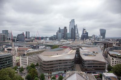 IMG_8795.jpg